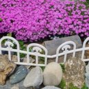 부자양평해장국 이미지