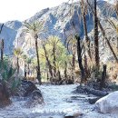 오아시스엘림 이미지