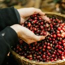 향미농장 이미지