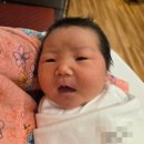정원고시텔 - 성북구 동소문로 32 | 양주 나무 정원 산부인과 병원 후기