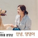 안녕 댕댕아 이미지