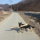와스코