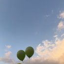 과천타워~새서울쇼핑 | 11월 용쁘 일상 | 임신일기 17주 ~ 21주 증상 도담이 성별 확정, 2차 기형아 검사까지 완료!