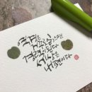 미소사니
