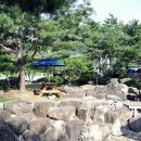 힐링주유소 이미지