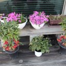 여주-0709 이미지