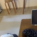 윤구농장 이미지