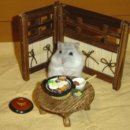 강서동물병원 이미지