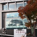 들꽃아띠