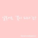 오늘꽃이피다
