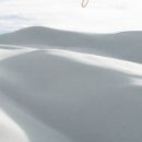 화이트의원 이미지