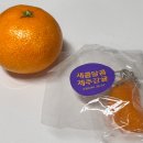 드림웰빙하우스 | [후기/리뷰] 2025 마곡 코엑스 마켓 컬리 푸드 페스타 제품 총정리 / 리뷰