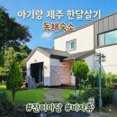 돌담약국 | 아기랑 제주 한달살기 숙소 추천 🏡 비자림 근처 마당 있는 독채 '비자휴' 내돈내산 후기