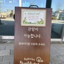 이건환경 | 청주 실내 아이랑 환경교육센터 방문 솔직후기