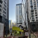 수영동 현대아파트 110동 앞 | 잠실 래미안 아이파크 임장 후기｜준공·세대수·실거래가·호가 비교까지 한 번에 정리