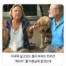 멍멍이 미용실 이미지