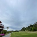 (주)스카이비 - 안산시 단원구 | (주)스카이비