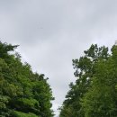 유통단지남측진입길L | 영남알프스~울산~경주~포항 모터사이클 투어 후기.2018-0609