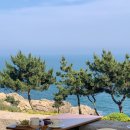 빅 하우스 | 칭다오 풍경구 오션뷰 카페 추천 동화 속 같은 빅하우스 카페 (BIG HOUSE) 방문 후기