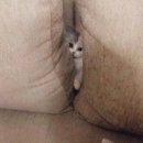 파리친구 이미지