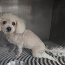 목포기독병원 이미지