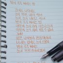 발이 푹푹 빠지는 밤 - 황인숙 이미지