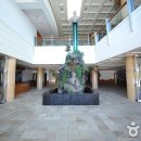 예체문화관 이미지