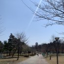 늘솔근린공원 유아숲체험원 이미지