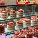 송정과일 | 울산 북구 랑콩뜨레 송정본점 과일케이크 <딸기망고케이크>내돈내산 후기🍓🥭🎂(✅예약방법)