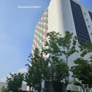 [조성희작가] 하나아트뱅크 조성희작가 특별전 후기