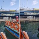 똑순이네수산 | 속초 중앙시장 먹거리 5&amp;물회 홍게까지~