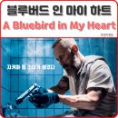 블루버드 모텔 이미지