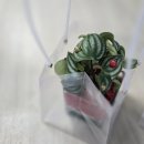 남목초교병설유치원 이미지