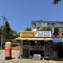 덕진-43 | 속초밥집 덕진식당 현지맛집 찐 후기