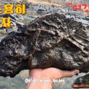 청천나들이 티스토리