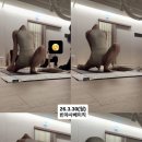 (주)라이온하트 스튜디오 | 경기도 성남 분당 에잇핏요가 미금점 내돈내산 미금역 요가원 추천 사하나강사님 수업후기