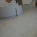 미래종합동물병원 이미지