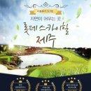 스카이-힐 이미지