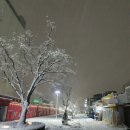 모텔베네르 이미지