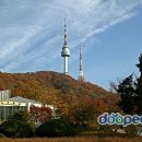 남산 이미지