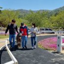 장수목장 이미지