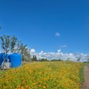 용머리고을 | 유난히 더웠던 여름, 8월 익산치맥축제 후기(+익산 가볼만한 곳)