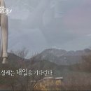 한손씨