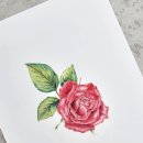 힐링 색연필화 이미지