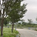 산북면주민센터 | 어차피 밤 되면 다 똑같아... 여주 이포보 오토캠핑장 후기.