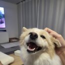 온누리 동물의료센터 이미지