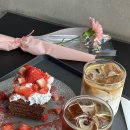 플디(도산점)