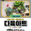 미양작은도서관 | 다육아트 미양 작은도서관 원데이클래스 힐링 교육 후기