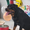 까사델뻬로 이미지