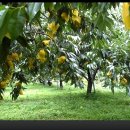 주문진초등학교삼덕분교장 이미지